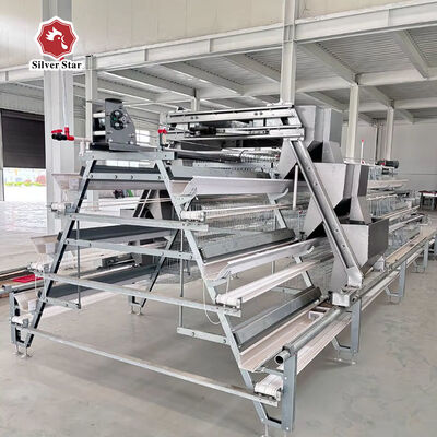 Cost-Effective 3-Tier A-Type Layer Cage with Galvanized Steel and Automatic Feeding System for Poultry Farms