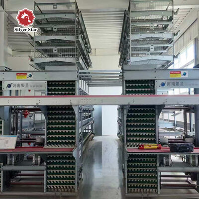 ระบบกรงแบตเตอรี่อัตโนมัติแบบ H-Type พร้อมเหล็กชุบสังกะสีร้อนสำหรับการเก็บไข่อัตโนมัติและอายุการใช้งาน 15-20 ปี