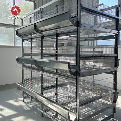 H-Type Battery Cage System with Hot-Dip Galvanized Frame Automatic Feeding Trough Stackable Modular Design for Commercial Poultry Farms