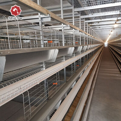 H Type Layer Chicken Cage 6 Tiers 144 Birds Automatic Feeding Hot Dip Galvanized for Poultry Farm