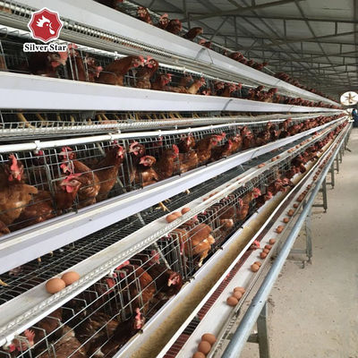 SGSBattery Hens Layer Chicken Cages H Type Egg Laying 5 Tiers