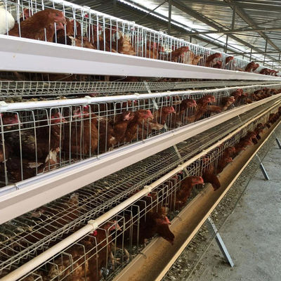 SGSBattery Hens Layer Chicken Cages H Type Egg Laying 5 Tiers