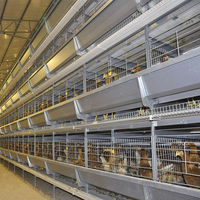 Poultry Farm Layer Cage H Type Full Automatic Chicken 6Tiers