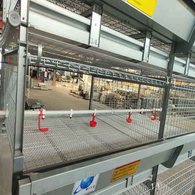 100kgs H Type Battery Broiler Chicken Cage System 120 Birds ISO9001 Listed