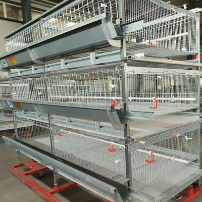 100kgs H Type Battery Broiler Chicken Cage System 120 Birds ISO9001 Listed