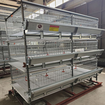 3-9 Floor Farm Battery Chicken Cage With Automatic System