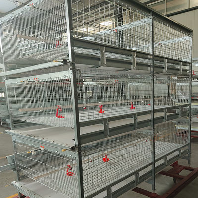 3-9 Floor Farm Battery Chicken Cage With Automatic System