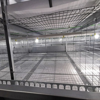 One Day Old Battery Baby Chick Cage 3-4 Tiers For Laying Hens SONCAP listed
