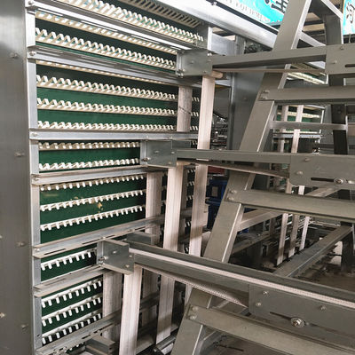 2pc/Layer HDG Poultry Egg Collection System Automatic 4m/Min Speed