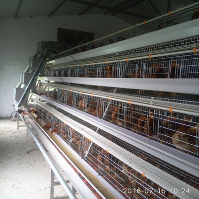 10000 Birds Battery Chickens Farm Layer Cage A Type Poultry Farming