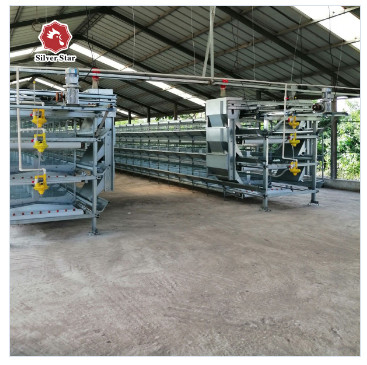 30000 Birds Hot Dip Galvanized Steel H Type Battery Cages For Broiler Chicken