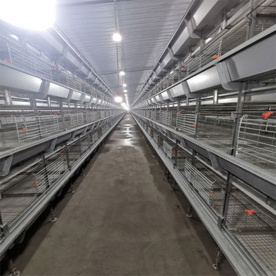 Automated H-Type Meat Broiler Cage System - Hot-Dip Galvanized High-Density Commercial Poultry Farming Equipment