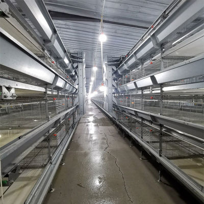 Automated H-Type Broiler Cage System - High-Density Hot-Dip Galvanized Poultry Farming Equipment