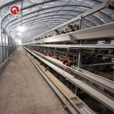 Poultry Farm Layer Chicken Cage Galvanized Long Layer Battery Cages