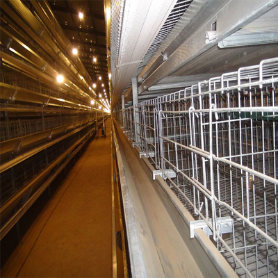 Breeding Farm Chicken Battery Poultry Cage For Broiler