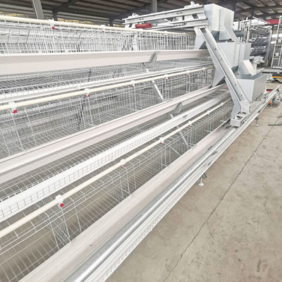 Full Automatic Hot Galvanized Layer Chicken Cage