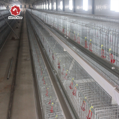 Pullet Battery Baby Layer Chicken Cage Galvanized 4 Tier A Type