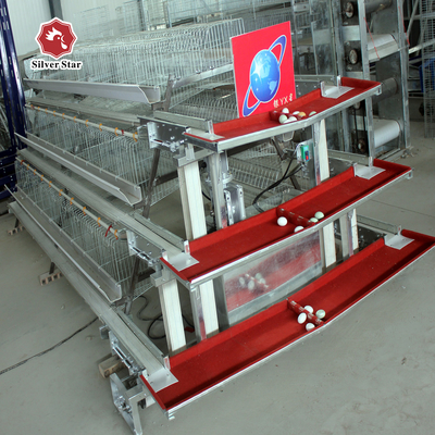 A Type 3 Tiers Battery Layer Chicken Cage With Feeding Machine
