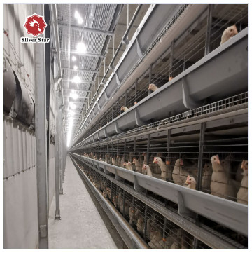 Automatic Poultry Farming Modern A Type Egg Chicken Layer Battery Cage
