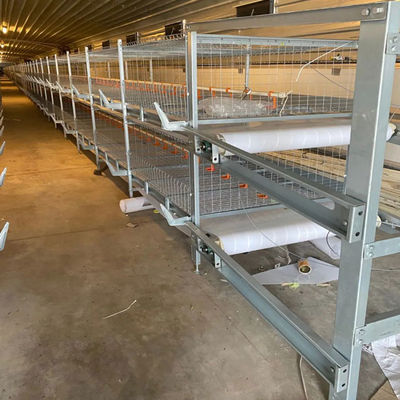 Automated H-Type Broiler Chicken Cage System with Hot-dip Galvanized Steel for High-Density Farming