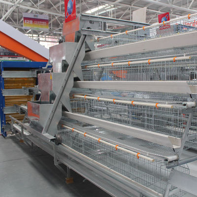 A Type Layer Chicken Cage System, Poultry Cage Equipment, Egg Layer Cage for Chicken Farm